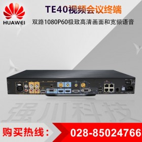 視頻數(shù)據(jù)雙流_甘孜州華為視頻會(huì)議代理商_TE40終端 VGA數(shù)據(jù)共享/異地展示