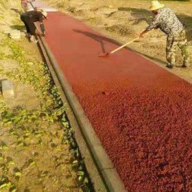 攀枝花市彩色透水混凝土地面施工價(jià)格   透水混凝土如何施工  透水混凝土道路廠家 彩色壓?；炷翉S家 透水混凝土原材料有哪些 廠家免費(fèi)施工指導(dǎo) 送貨到工地
