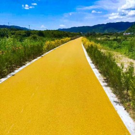萬州區(qū) 彩色生態(tài)透水混凝土地坪 彩色透水混凝土道路 透水混凝土施工價格 彩色透水混凝土材料生產(chǎn)廠家 量大送貨到工地