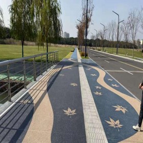自貢市 透水路面 生態(tài)透水水泥混凝土 海綿城市道路 廠家批發(fā)價