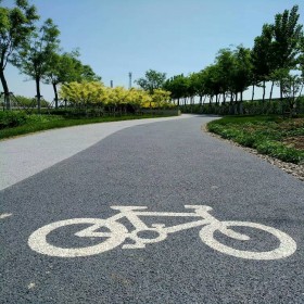 資陽(yáng)市 露骨彩色透水混凝土 生態(tài)透水混凝土 彩色整體透水路面 透水混泥土施工公司